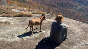 Lake Lure Hiking: Explore the Best Trails in the Area