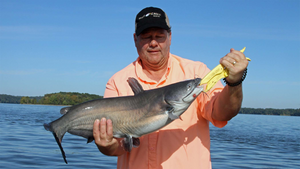 Pickwick Lake Fishing: Tips and Tricks for Successful Angling