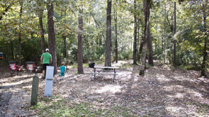 Lake Poinsett Camping: Essential Tips for Your Next Trip