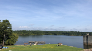 Falls Lake Fishing: Expert Tips For Successful Angling
