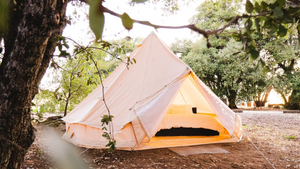 Lake Wylie Camping: Top Tips for Your Next Adventure