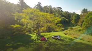 Pickwick Lake Camping: Best Tips for Your Next Adventure