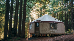 Kentucky Lake Camping: Top Tips for Your Next Adventure