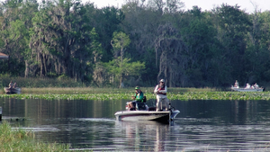 Lake Harris Fishing: Top Tips For Successful Angling