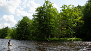 Lake Malone Fishing: Tips and Tricks for a Successful Trip