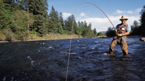 Blue Ridge Lake Fishing: Expert Tips and Techniques for Success