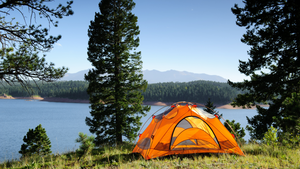 Lake Hartwell Camping: Best Tips for Your Next Adventure