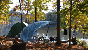 Jackson Lake Camping: Best Tips for Your Next Adventure