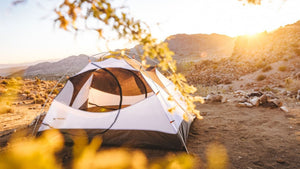 Lake Hamilton Camping: Essential Tips for Your Next Trip