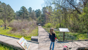 Lake Livingston Camping: Essential Tips for Your Next Trip