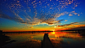 Lake Marion Camping: Essential Tips for Your Next Adventure