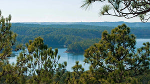 Lake Martin Camping: Essential Tips for Your Next Adventure