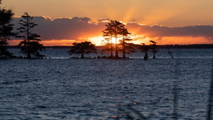 Lake Mattamuskeet Camping: Best Tips for Your Outdoor Adventure