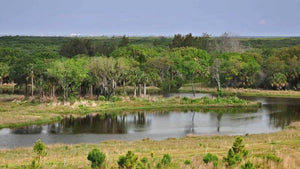 Lake Panasoffkee Camping: Essential Tips for Your Trip