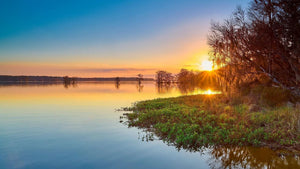 Lake Talquin Fishing: Expert Tips and Techniques for Success