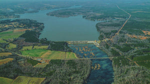 Lake Tillery Fishing: Tips and Tricks for Successful Angling