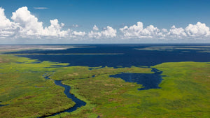 Okeechobee Lake Fishing: Tips and Tricks for Success