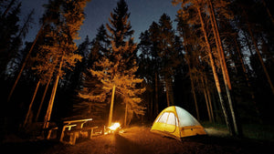 Reelfoot Lake Camping: Essential Tips for Your Next Trip