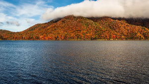 watauga lake fishing: expert tips for successful angling