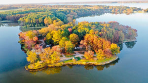 wheeler lake fishing: expert tips for successful angling